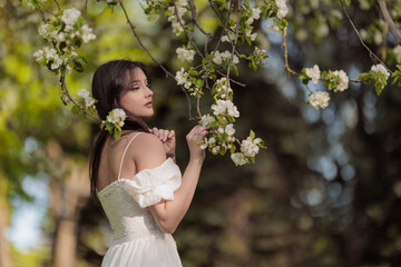 Beautiful Girl with long hair poses near white blossoming apple trees