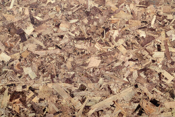 wood texture modern with natural pattern closeup