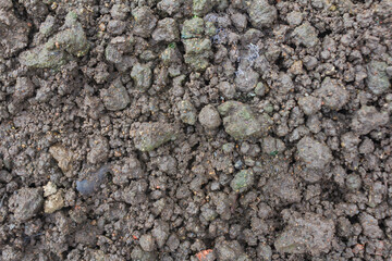 Eco-Friendly Soil Bed with Organic Compost and Fertilizer for Sustainable Gardening