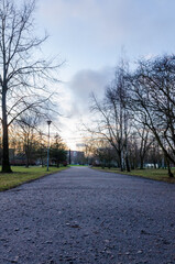 Obraz premium Empty park pathway lined with leafless trees during late winter sunset scene. Calm and quiet atmosphere, low-angle shot, straight-on perspective, urban park, winter transition, soft natural light