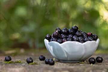 juicy blueberries in a bowl with room to copy. Healthy fruit for a balanced diet.
