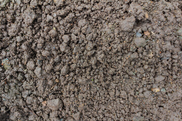 Eco-Friendly Soil Bed with Organic Compost and Fertilizer for Sustainable Gardening