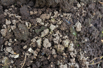 Eco-Friendly Soil Bed with Organic Compost and Fertilizer for Sustainable Gardening