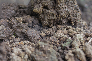 Eco-Friendly Soil Bed with Organic Compost and Fertilizer for Sustainable Gardening