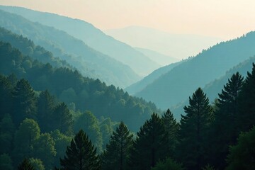 Misty forest landscape with trees above misty valleys, woods, uk