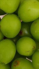 close up of green peas