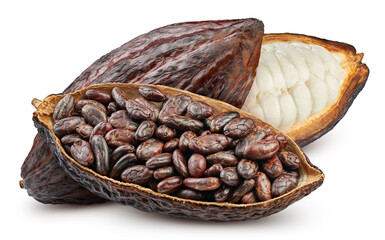 Cocoa pod, fresh cocoa fruit with clipping path. Cocoa beans isolated on white background