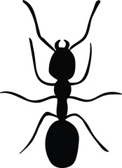 vector silhouette of an ant