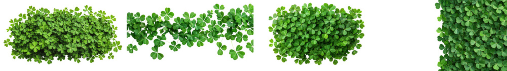 Vibrant green foliage filling the frame and forming a seamless natural background  Lush verdant leaves creating a fresh organic pattern perfect for nature ecology and environmental concepts