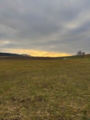 Fototapeta premium sunset over the field