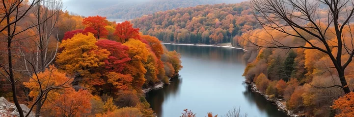  Seasonal vertical banners featuring landscapes for social media stories wallpaper with autumn winter spring and summer themes, autumn, landscapes, vertical © Pimchada