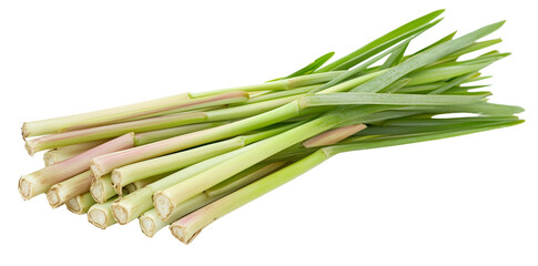 Fototapeta premium a bunch of lemongrass isolated on a transparent background