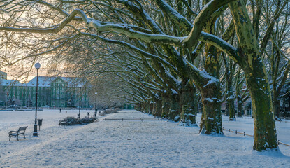 Fototapety na wymiar - Fototapeta24.pl