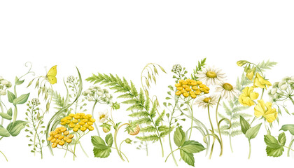 Wild flowers and herbs, daisies, sweet peas, tansy, strawberries in a seamless pattern. Seamless border of wild and meadow flowers