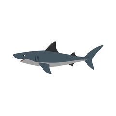 A Simple Illustration of a Great White Shark Swimming in the Ocean