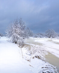 Snowy landscape with a river and a tree