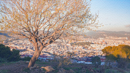 Naklejka premium Tree is standing on a hill overlooking a city