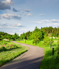 Path in a park with trees and flowers