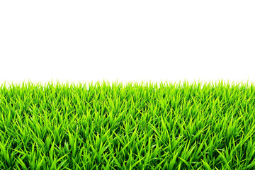 Fototapeta premium Fresh green grass blades isolated on a white background, creating a clean and natural look. Perfect for nature concepts, eco themes, and backgrounds. Ai generative
