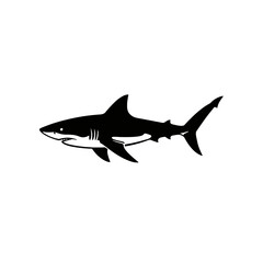 Silhouette of Great White Shark Isolated on White Background