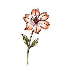 A Delicate Watercolor Style Illustration of a Single Peach Colored Flower with Green Leaves