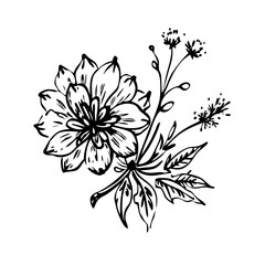 Fototapeta premium Bold Black Ink Floral Drawing of a Flower Bouquet with Delicate Petals and Fluffy Seed Heads
