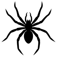 black widow spider