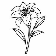 vector illustration of a flower