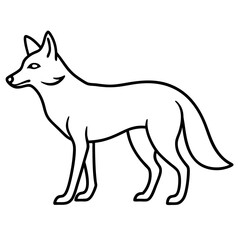 wolf vector illustration