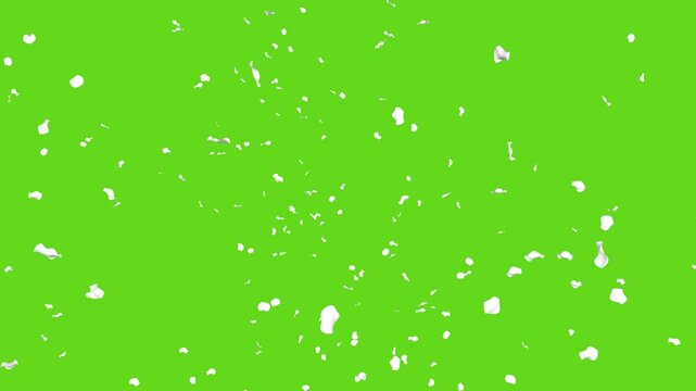 Bang white rose petals on a green background. 3D  animation. Video effect for valentine's day and other holidays.