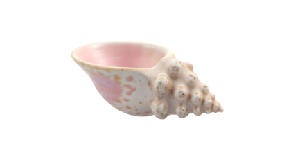 A conch shell featured on a transparent background, reflecting the spirit of summer beach vacations and seashell aesthetics