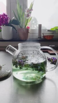 Glass teapot with fresh  sage herbal tea on kitchen table at window