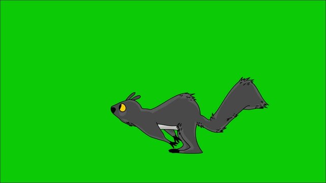 A charming animation of a gray squirrel running in a repetitive motion, against a bright green screen.