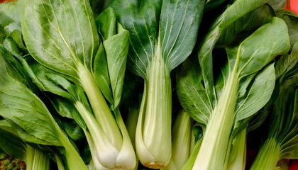 Close-up of fresh bok choy, highlighting its crisp stems and dark green leaves. Ideal for healthy food, salads, or vegetable concepts. Texture, background.