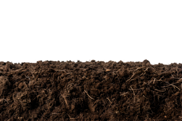 Fertile soil closeup, texture background. Black ground surface for gardening season. Soil isolated on white background