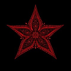 Obraz premium Ornate Red Star Graphic Design