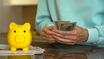 A person is counting cash while sitting at a table with a yellow piggy bank nearby. Bills are spread out on the table, creating a casual atmosphere focused on saving money.