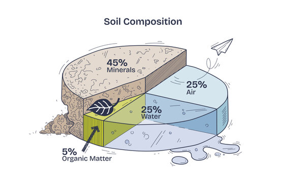 Soil composition diagram shows minerals, water, air, and organic matter in a pie chart. Doodle style diagram