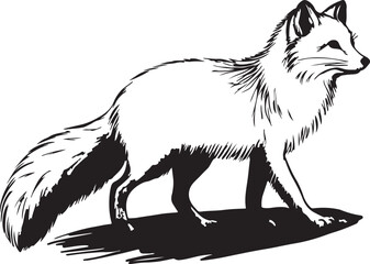 Graceful Silhouette: A striking black and white illustration of a fox in a side profile stance, exhibiting the creature's sleek form and focused gaze.