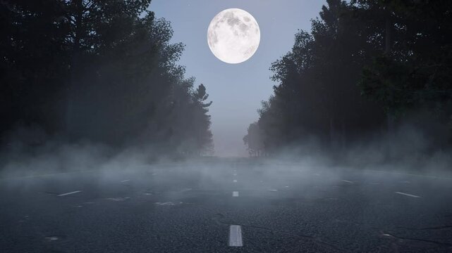 An empty forest road, with tall trees and fog, on night time, 3D animation camera static