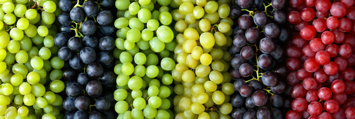 Grapes. Beautiful colorful fruit background, freshly cut grapes and juicy bunches of different grapes for wine, top view. Red, green, purple grapes