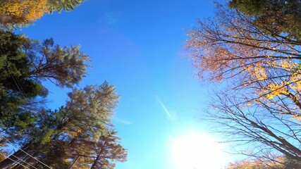 Catskill Driving 1042 Timelapse New York