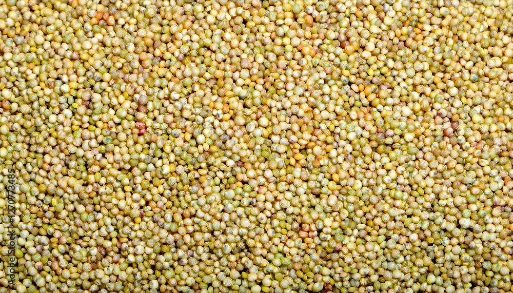 Fototapete repeating pattern of tiny quinoa grains, emphasizing their round shape and light beige or red color.