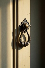 Elegant Ornate Door Pull on Light Wood Paneling in Soft Sunlight