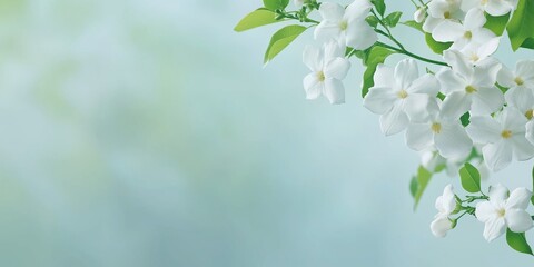 Fototapeta premium A white flower with green leaves is in the foreground of a blue background. The flower is the main focus of the image, and the blue background creates a calming and serene atmosphere
