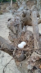 New Life's Gentle Promise, Nurturing New Beginnings