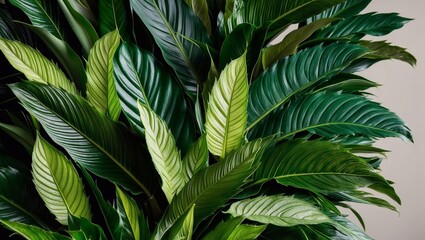 Dense pattern of lush green tropical leaves with intricate vein details.