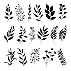 Set of branch and leaves vector	