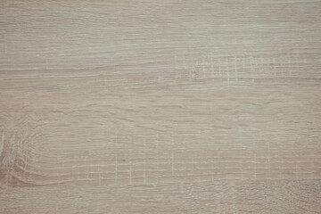 Fototapeta premium Wood surface with natural texture and light grains in soft tones