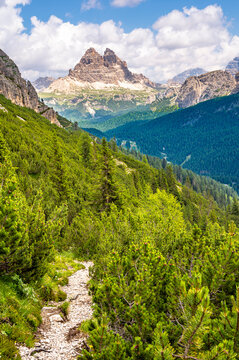 Scenic view of the Drei Zinnen in Misurina, Venetien, Italy with a forest path